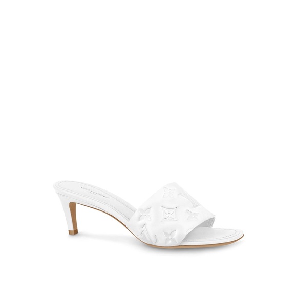Louis Vuttion Heels